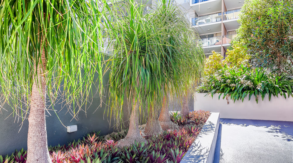 Trilogy Residences Brisbane Exterior foto